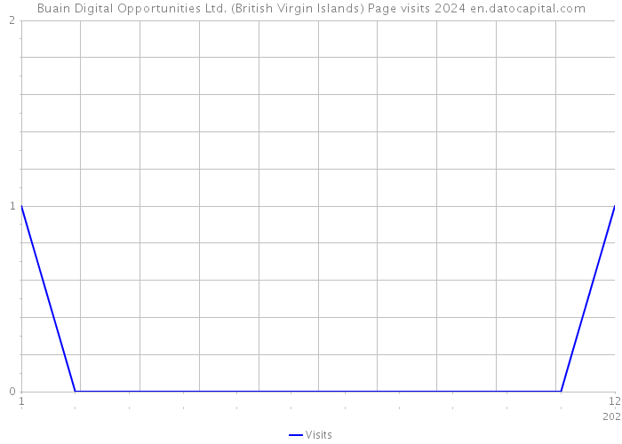 Buain Digital Opportunities Ltd. (British Virgin Islands) Page visits 2024 