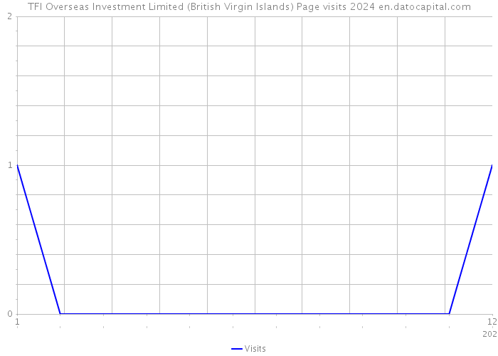 TFI Overseas Investment Limited (British Virgin Islands) Page visits 2024 