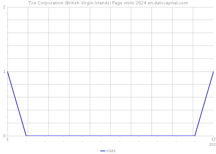 Toe Corporation (British Virgin Islands) Page visits 2024 