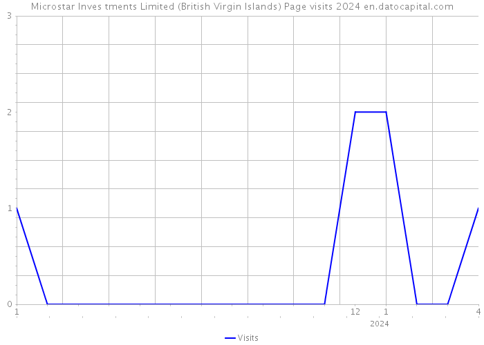 Microstar Inves tments Limited (British Virgin Islands) Page visits 2024 
