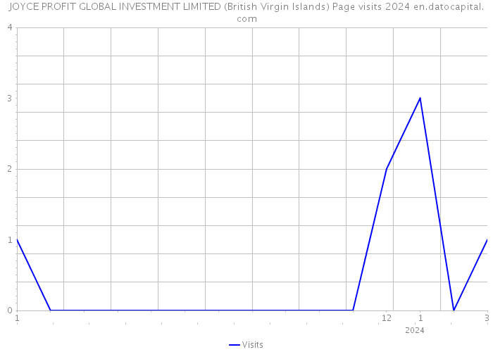 JOYCE PROFIT GLOBAL INVESTMENT LIMITED (British Virgin Islands) Page visits 2024 