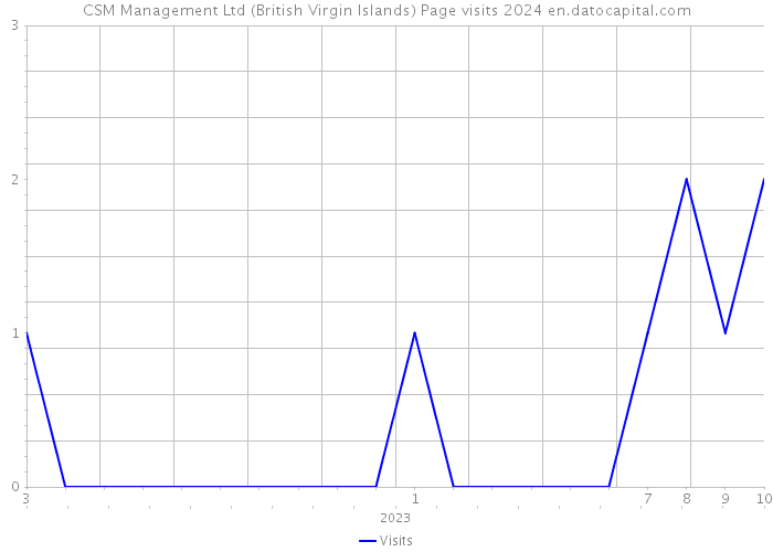 CSM Management Ltd (British Virgin Islands) Page visits 2024 