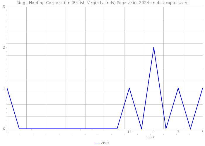 Ridge Holding Corporation (British Virgin Islands) Page visits 2024 