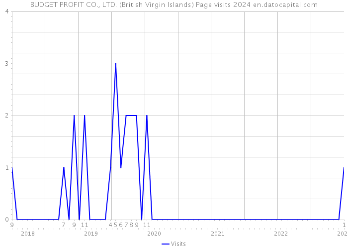 BUDGET PROFIT CO., LTD. (British Virgin Islands) Page visits 2024 