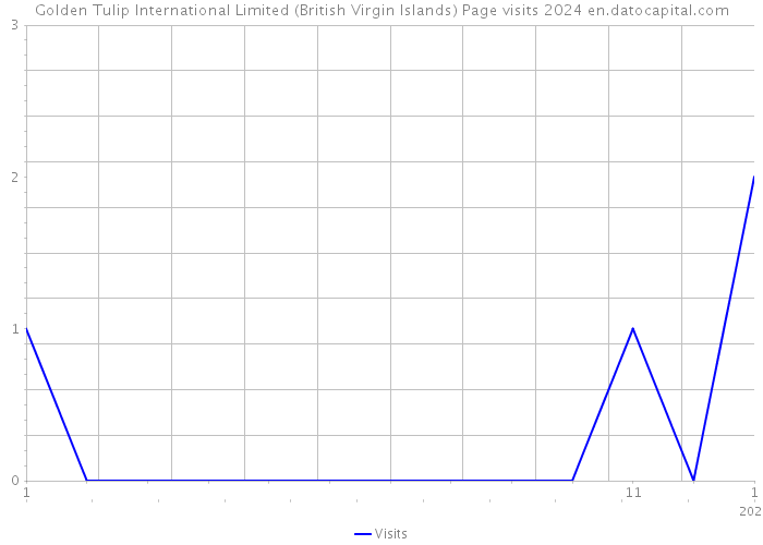 Golden Tulip International Limited (British Virgin Islands) Page visits 2024 