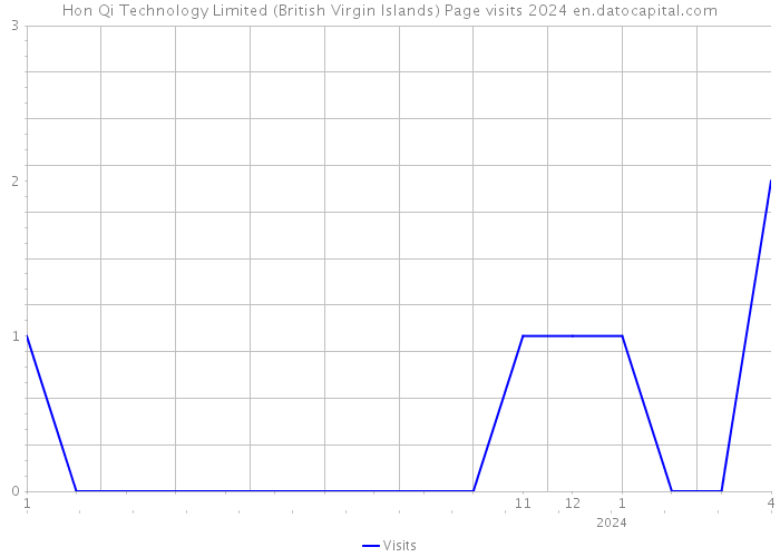 Hon Qi Technology Limited (British Virgin Islands) Page visits 2024 