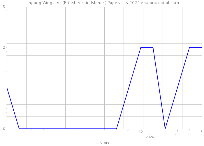 Lingang Wings Inc (British Virgin Islands) Page visits 2024 