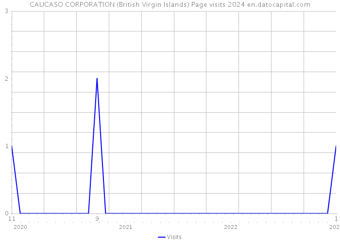 CAUCASO CORPORATION (British Virgin Islands) Page visits 2024 