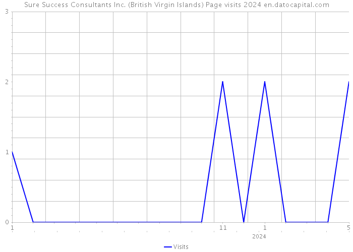 Sure Success Consultants Inc. (British Virgin Islands) Page visits 2024 