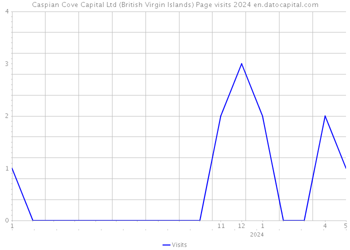 Caspian Cove Capital Ltd (British Virgin Islands) Page visits 2024 