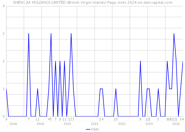 SHENG JIA HOLDINGS LIMITED (British Virgin Islands) Page visits 2024 