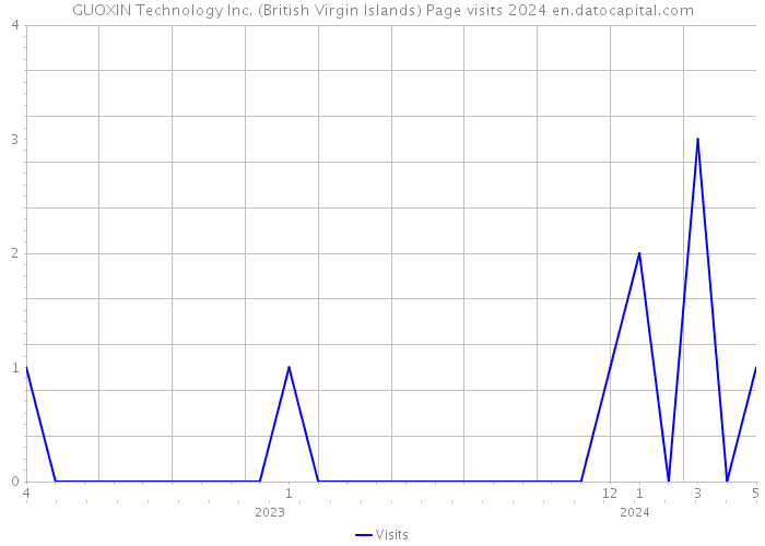 GUOXIN Technology Inc. (British Virgin Islands) Page visits 2024 