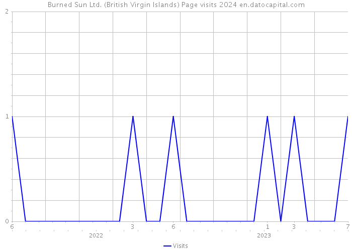 Burned Sun Ltd. (British Virgin Islands) Page visits 2024 
