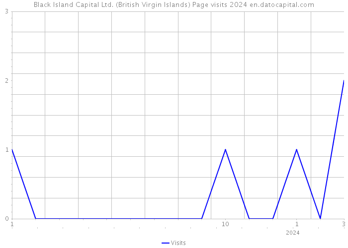Black Island Capital Ltd. (British Virgin Islands) Page visits 2024 
