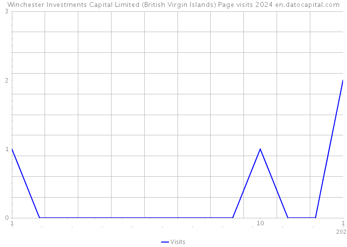 Winchester Investments Capital Limited (British Virgin Islands) Page visits 2024 