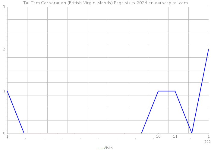 Tai Tam Corporation (British Virgin Islands) Page visits 2024 