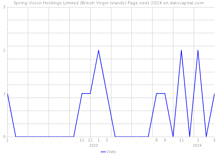 Spring Vision Holdings Limited (British Virgin Islands) Page visits 2024 