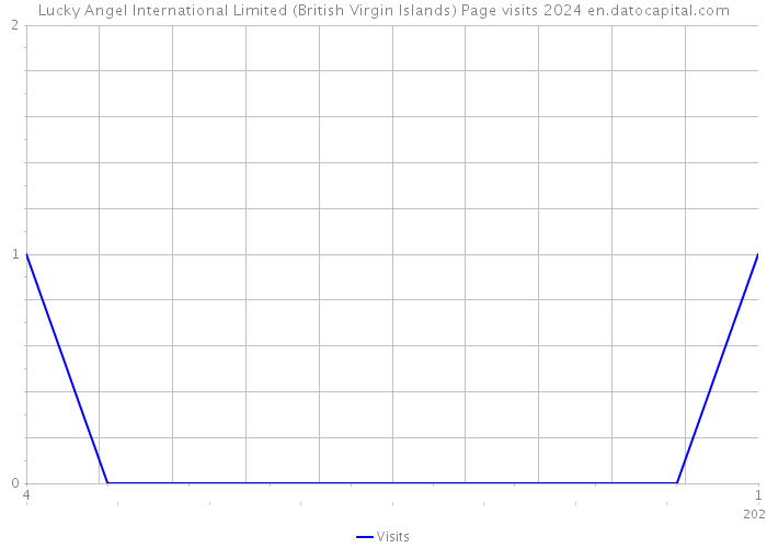 Lucky Angel International Limited (British Virgin Islands) Page visits 2024 