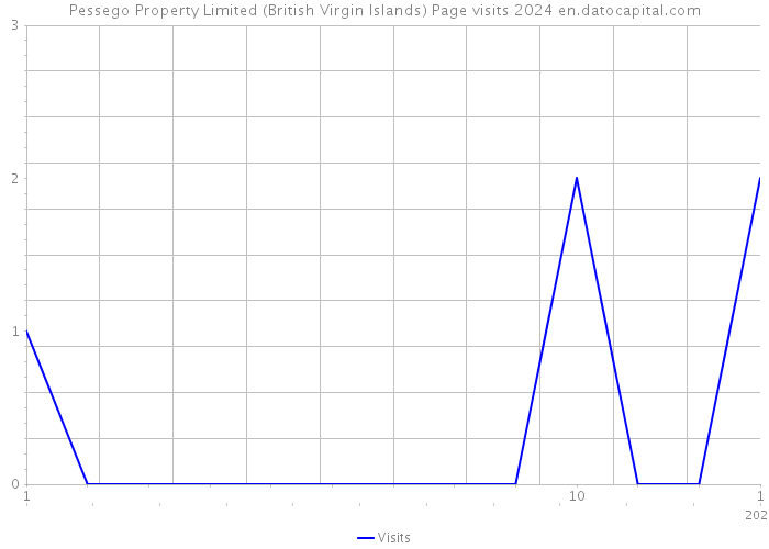 Pessego Property Limited (British Virgin Islands) Page visits 2024 