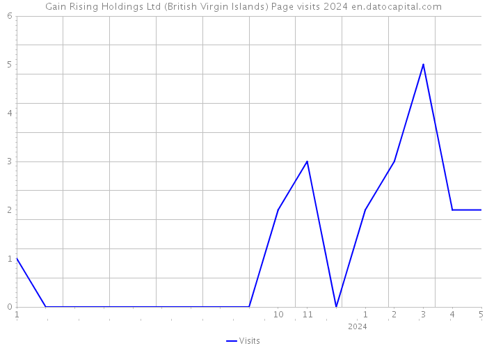 Gain Rising Holdings Ltd (British Virgin Islands) Page visits 2024 