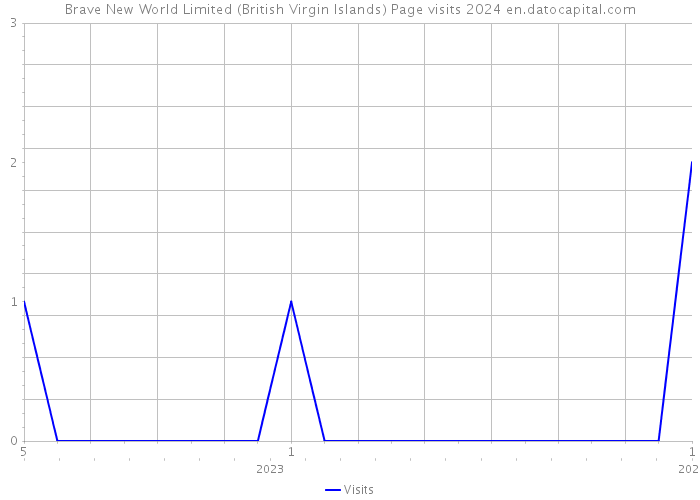 Brave New World Limited (British Virgin Islands) Page visits 2024 