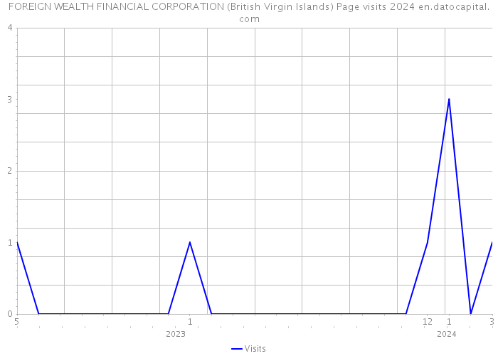 FOREIGN WEALTH FINANCIAL CORPORATION (British Virgin Islands) Page visits 2024 