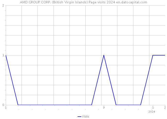 AMD GROUP CORP. (British Virgin Islands) Page visits 2024 