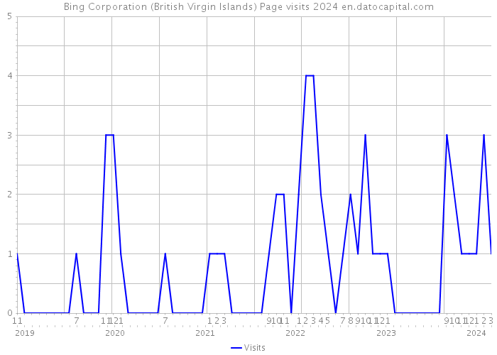 Bing Corporation (British Virgin Islands) Page visits 2024 