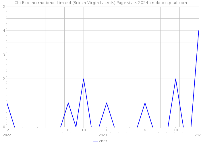 Chi Bao International Limited (British Virgin Islands) Page visits 2024 