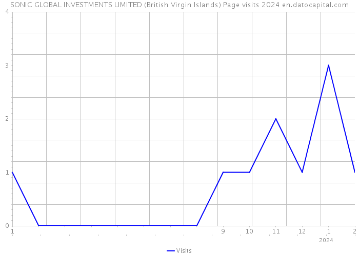 SONIC GLOBAL INVESTMENTS LIMITED (British Virgin Islands) Page visits 2024 