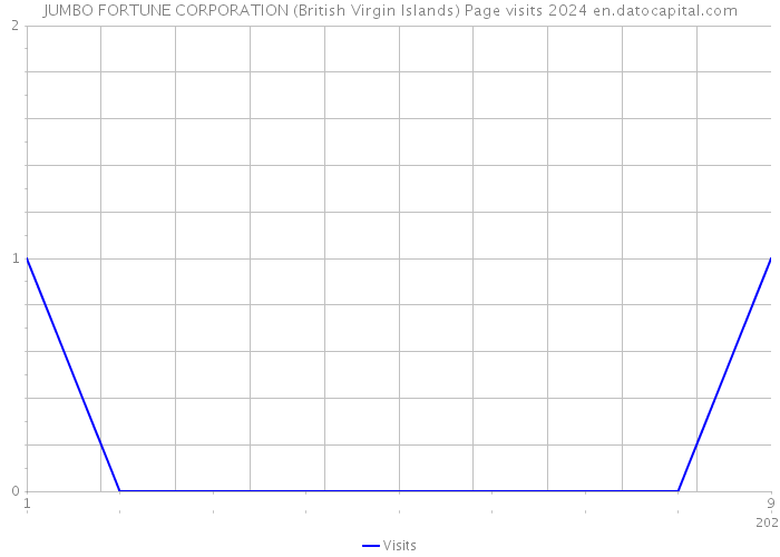 JUMBO FORTUNE CORPORATION (British Virgin Islands) Page visits 2024 