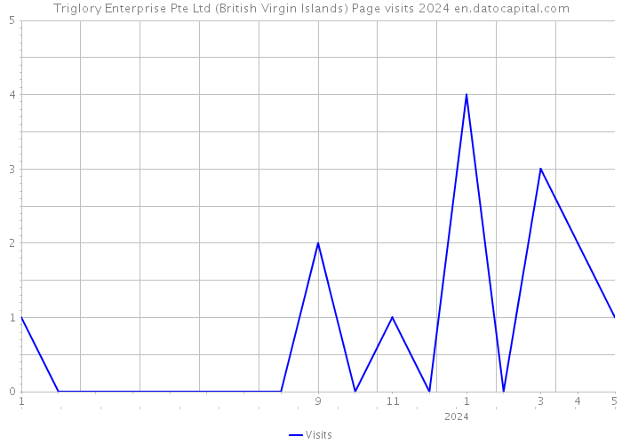 Triglory Enterprise Pte Ltd (British Virgin Islands) Page visits 2024 