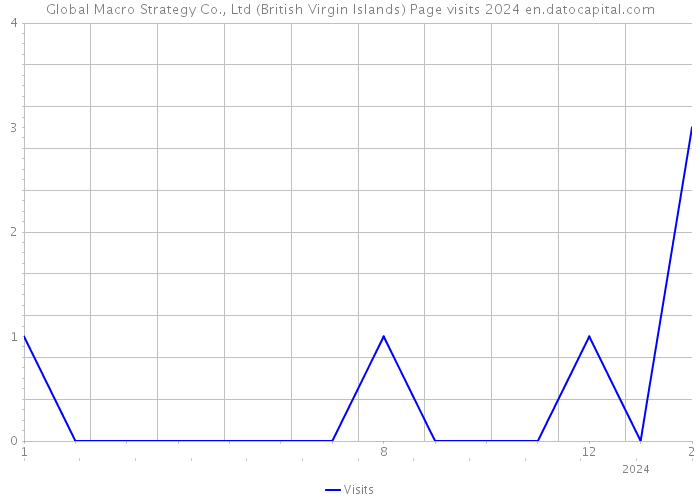 Global Macro Strategy Co., Ltd (British Virgin Islands) Page visits 2024 