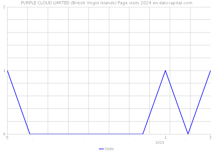 PURPLE CLOUD LIMITED (British Virgin Islands) Page visits 2024 