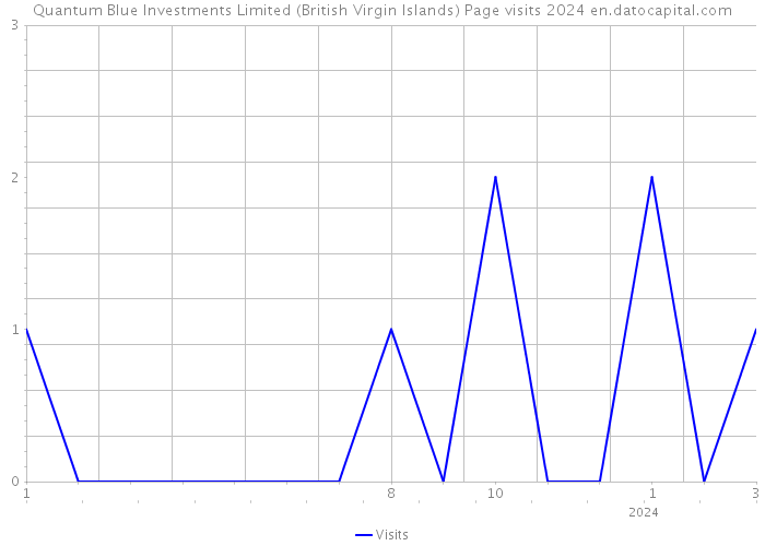 Quantum Blue Investments Limited (British Virgin Islands) Page visits 2024 
