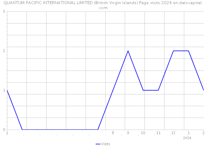 QUANTUM PACIFIC INTERNATIONAL LIMITED (British Virgin Islands) Page visits 2024 
