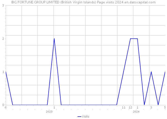 BIG FORTUNE GROUP LIMITED (British Virgin Islands) Page visits 2024 
