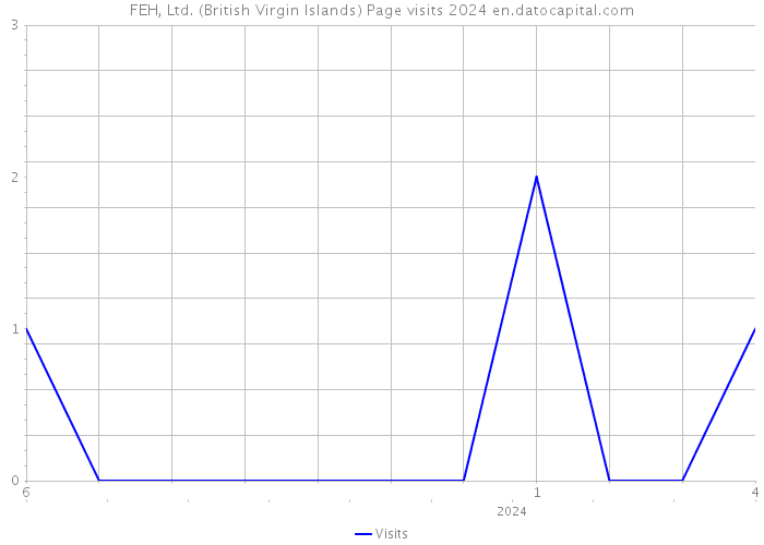 FEH, Ltd. (British Virgin Islands) Page visits 2024 