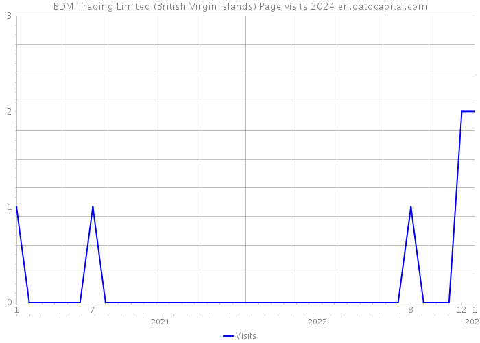 BDM Trading Limited (British Virgin Islands) Page visits 2024 