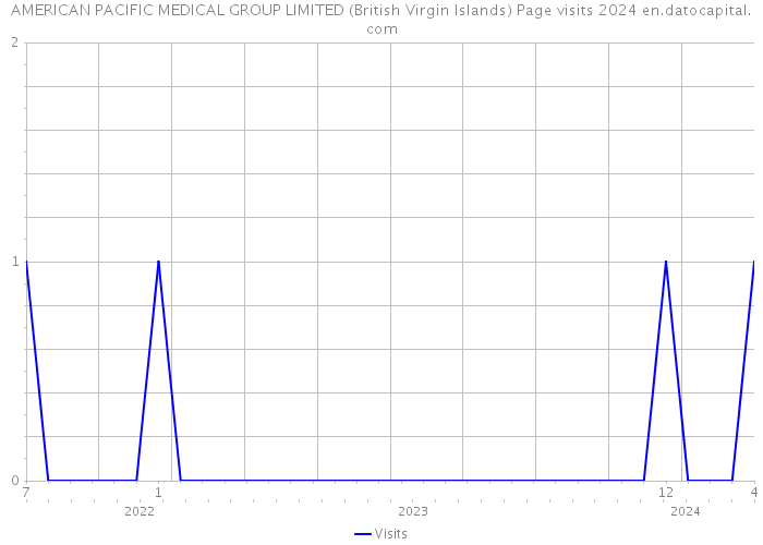 AMERICAN PACIFIC MEDICAL GROUP LIMITED (British Virgin Islands) Page visits 2024 