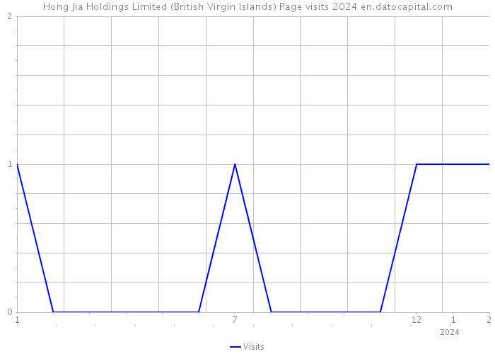 Hong Jia Holdings Limited (British Virgin Islands) Page visits 2024 