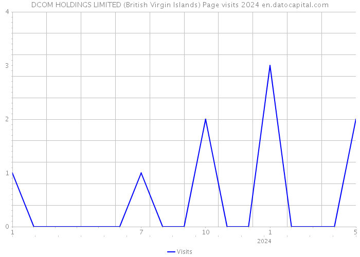 DCOM HOLDINGS LIMITED (British Virgin Islands) Page visits 2024 