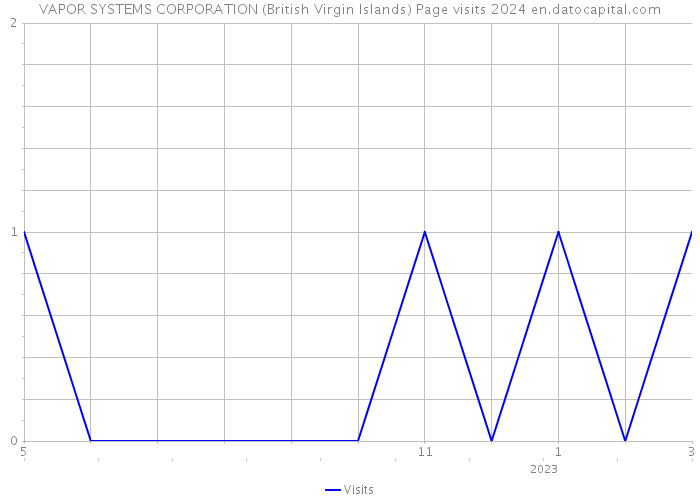 VAPOR SYSTEMS CORPORATION (British Virgin Islands) Page visits 2024 