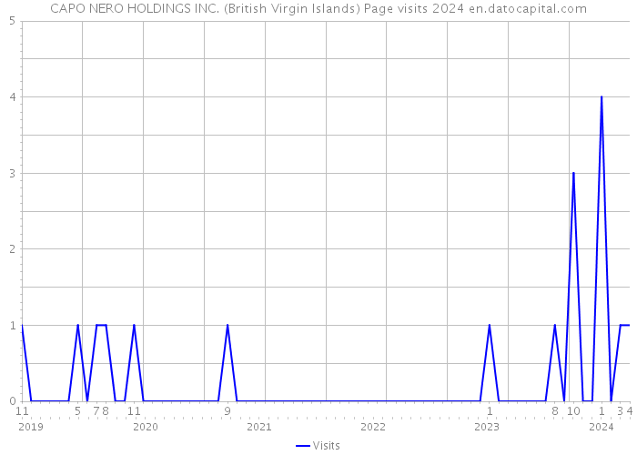 CAPO NERO HOLDINGS INC. (British Virgin Islands) Page visits 2024 