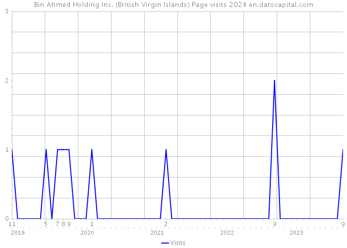 Bin Ahmed Holding Inc. (British Virgin Islands) Page visits 2024 