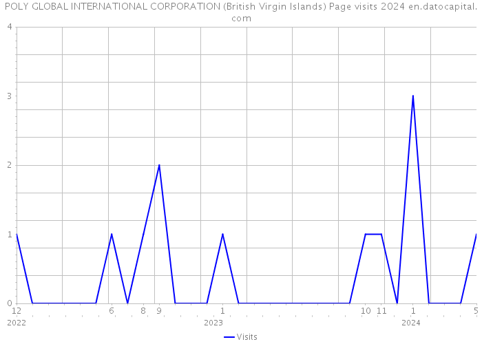 POLY GLOBAL INTERNATIONAL CORPORATION (British Virgin Islands) Page visits 2024 