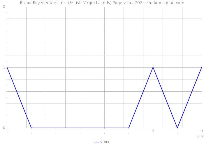 Broad Bay Ventures Inc. (British Virgin Islands) Page visits 2024 