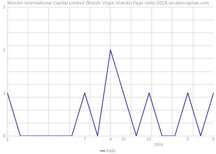 Wonder International Capital Limited (British Virgin Islands) Page visits 2024 