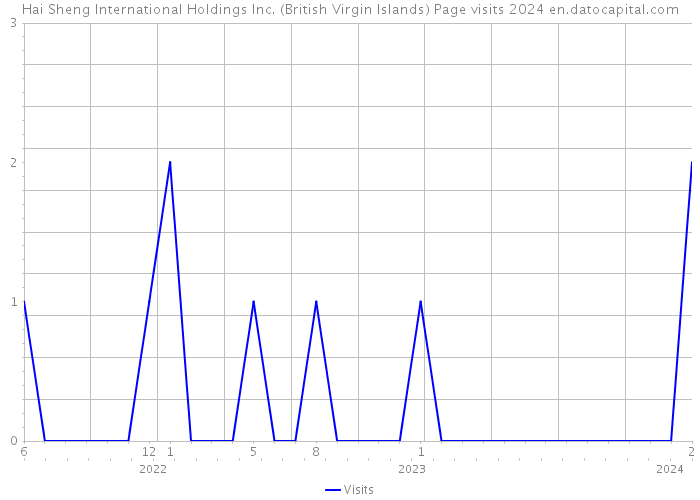 Hai Sheng International Holdings Inc. (British Virgin Islands) Page visits 2024 