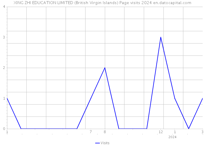 XING ZHI EDUCATION LIMITED (British Virgin Islands) Page visits 2024 